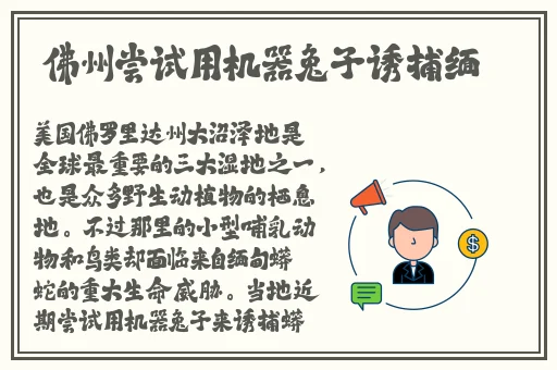 张篵雨水上阁楼图片照